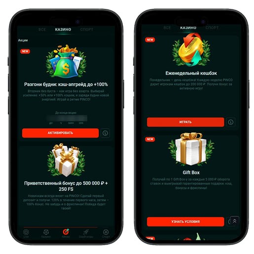 Бонусы на сайте